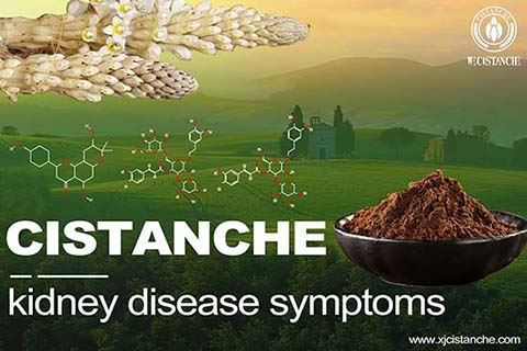 best herb for choronic kidney disease