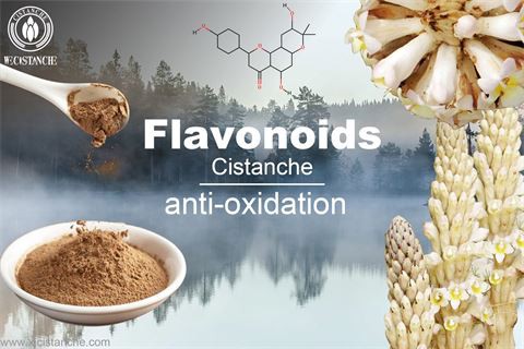flavonoid extraction method for antioxidant flavonoid extraction method for antioxidant