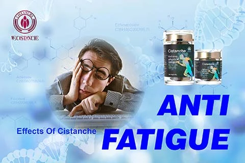 botanical care for relieving anti-fatigue botanical care for relieving anti-fatigue