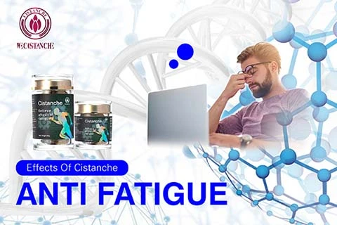 best chinese herbs for relive fatigue best chinese herbs for relive fatigue