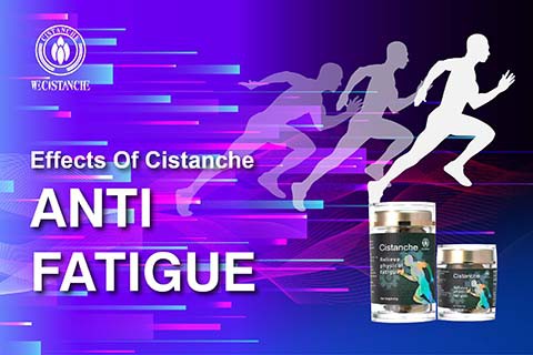Cistanche antifatigue function (6)