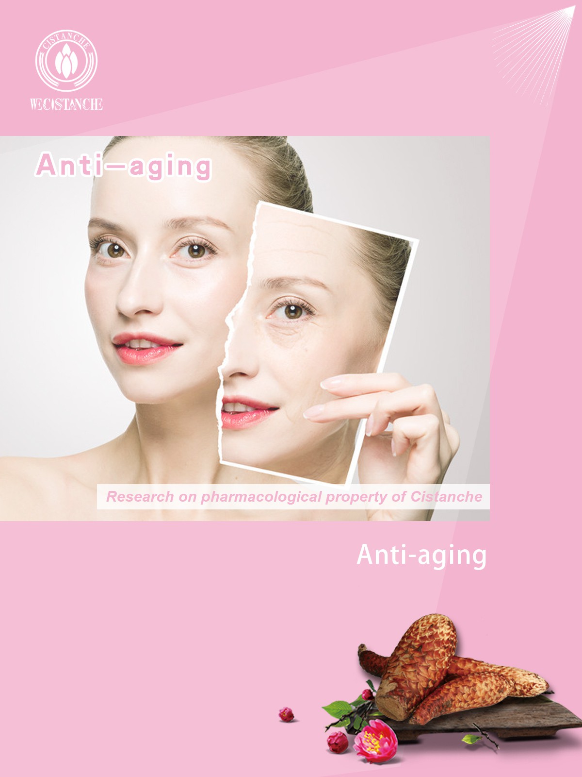 cistanche dht anti-aging cistanche dht anti-aging