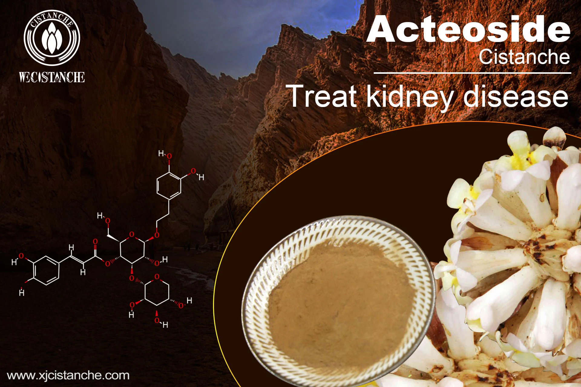 how to treat kidney failure how to treat kidney failure