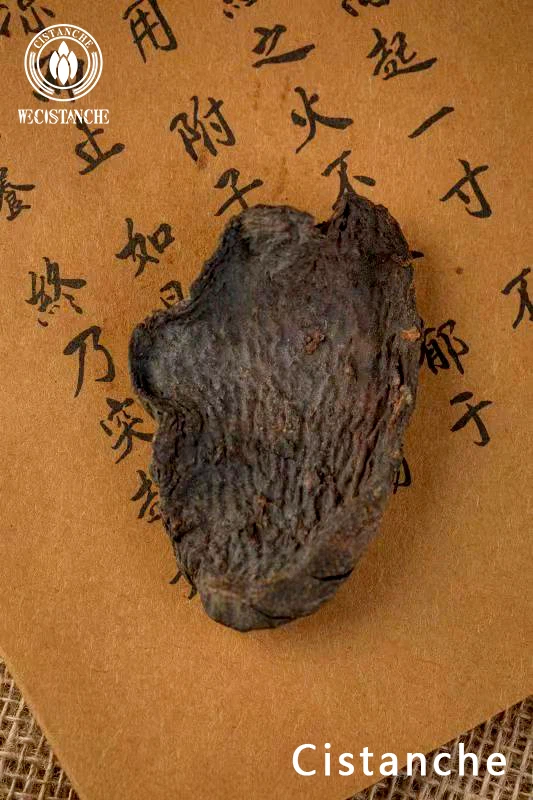 cistanche herb