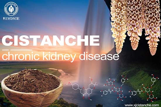 kidney tonifying side effects