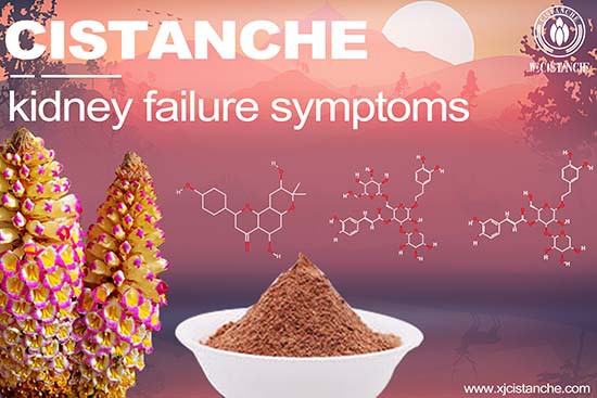 cistanche tubulosa supplement cistanche tubulosa supplement