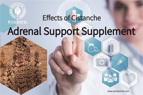 cistanche benefits reddit：adrenal support supplement