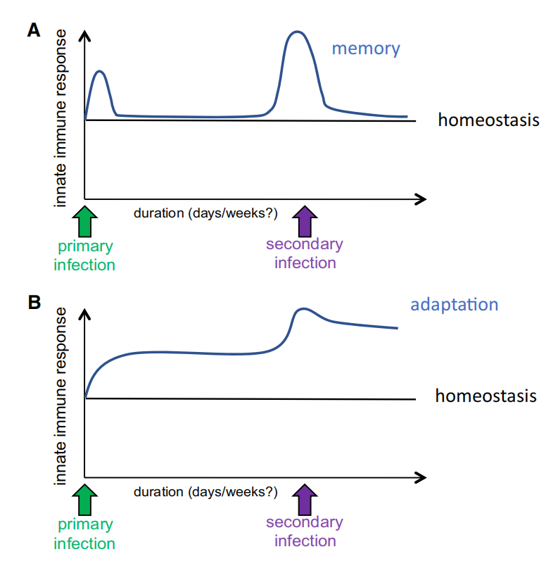cistanche tubulosa in chinese