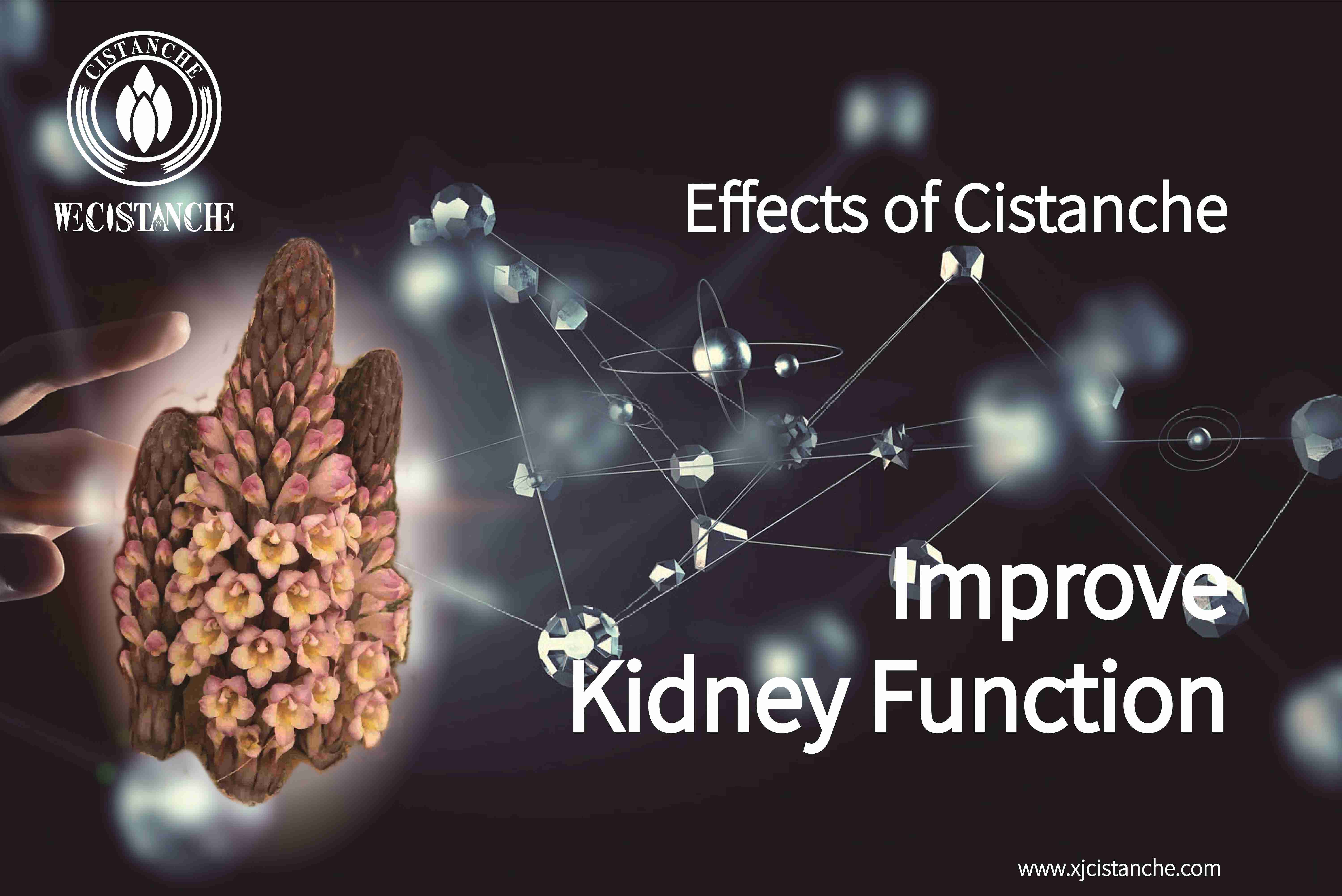 natural herb for kidney deficiency