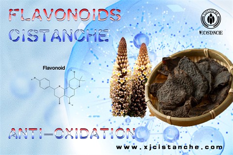 flavonoids supplements