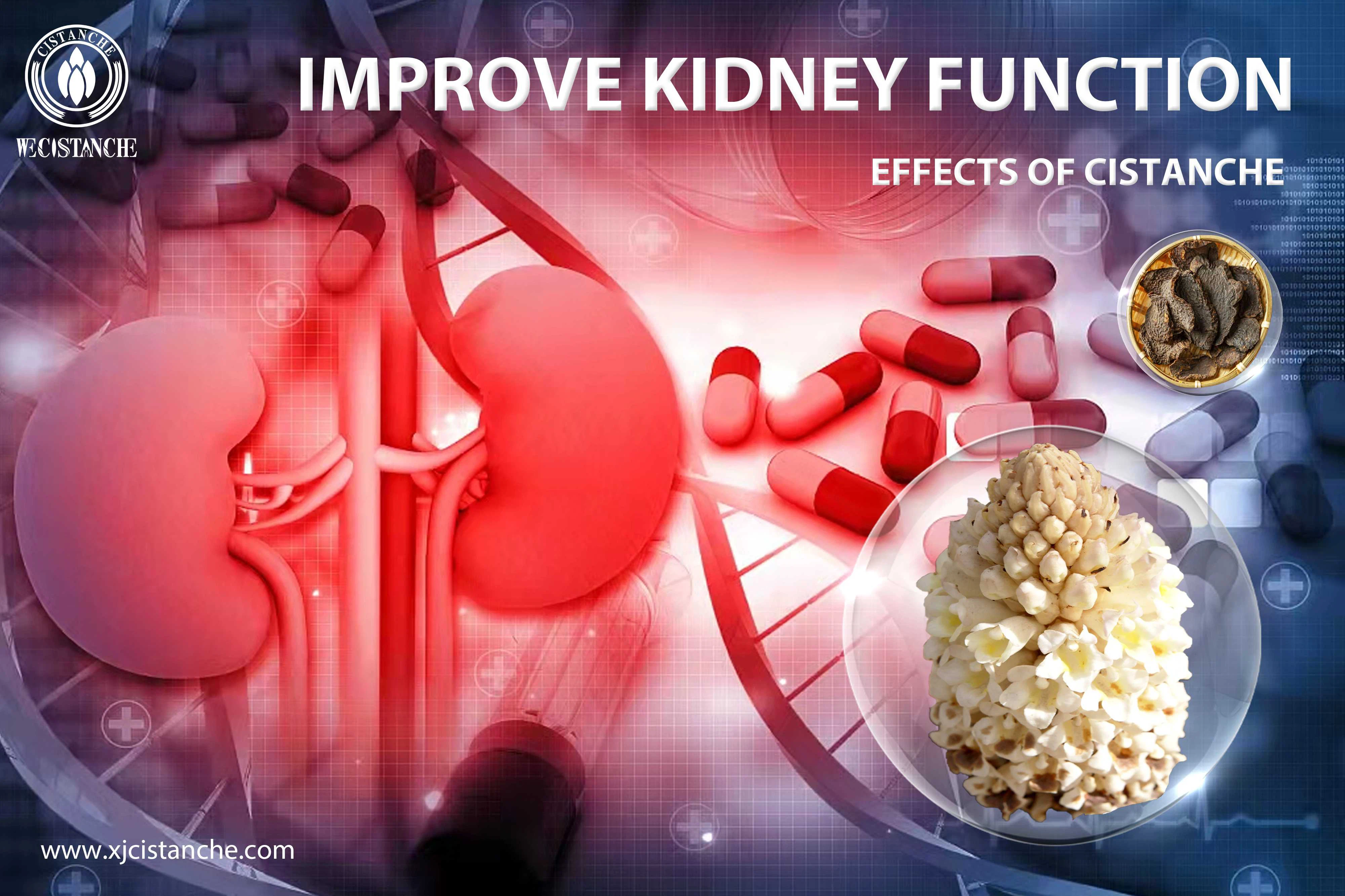 the best supplement for kidney function