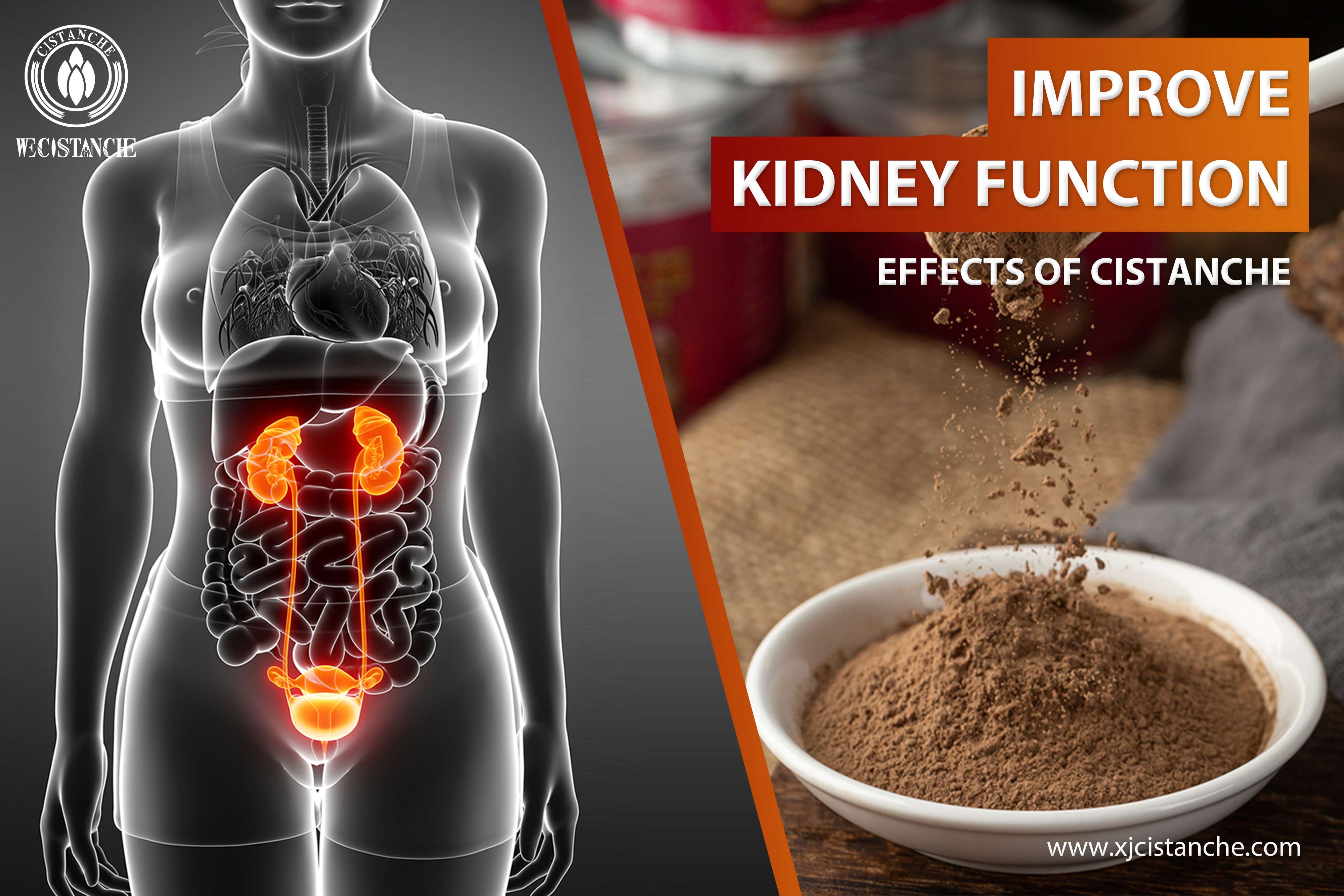 the best kidney supplement the best kidney supplement