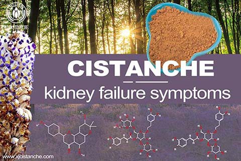 Chinese Herbs to lower your Creatinine Level in your body Chinese Herbs to lower your Creatinine Level in your body