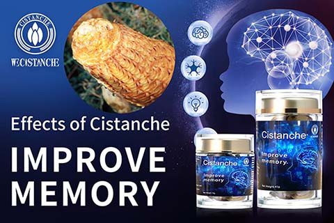 cistanche tubulosa benefits