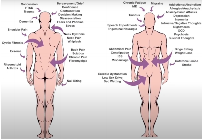 Psychophysiological Disease herbs Psychophysiological Disease herbs