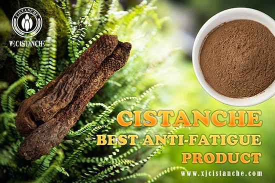 Psychophysiological Disease herbs Psychophysiological Disease herbs