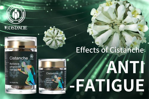 best herbs for treat CFS