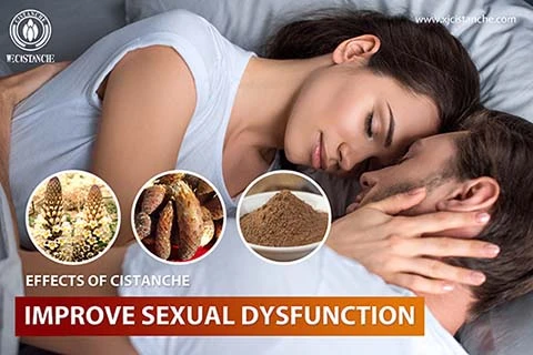 cistanches for improving sexula dysfunction cistanches for improving sexula dysfunction