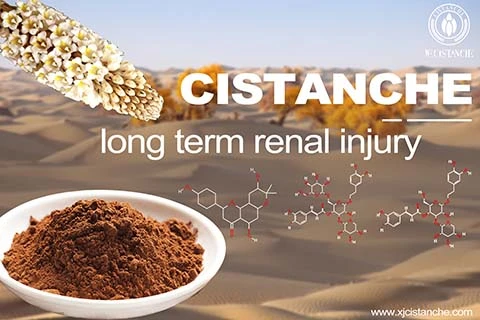 Cistanche Benefits