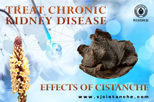how to treat kidney disease how to treat kidney disease