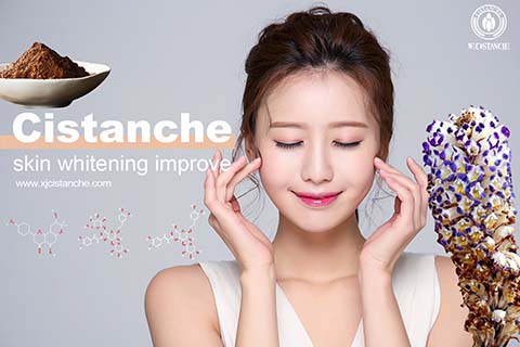 Cisatance tubulosa skincare