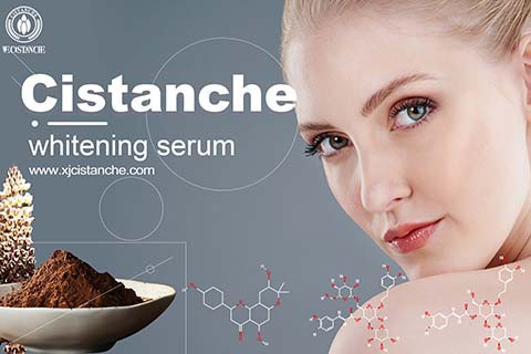 Cisatance tubulosa skincare