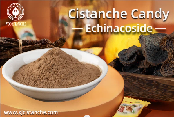Cistanche for improving testosterone Cistanche for improving testosterone