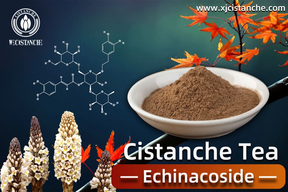 Cistanche tea