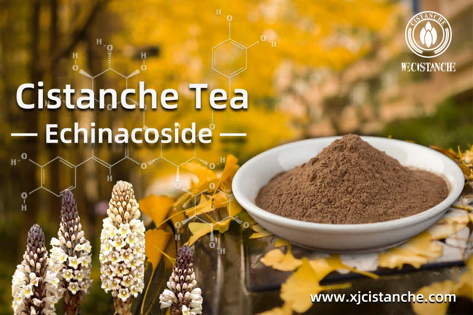 Cistanche application