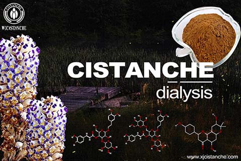 Cistanche-kidney dialysis-6(24)