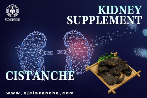 the best kideny supplement