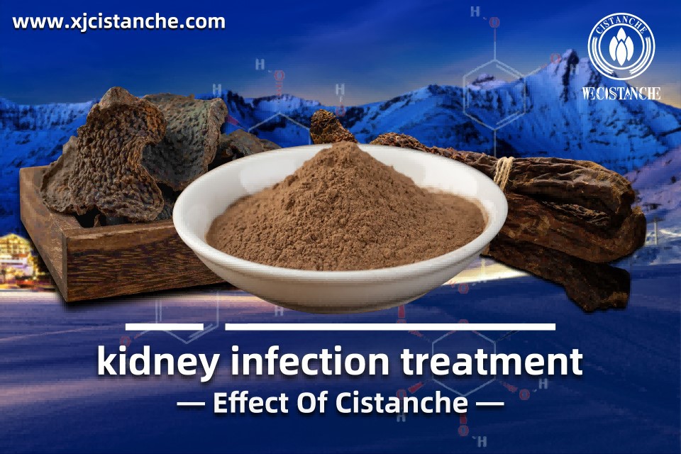 Kidney Infection Treatment