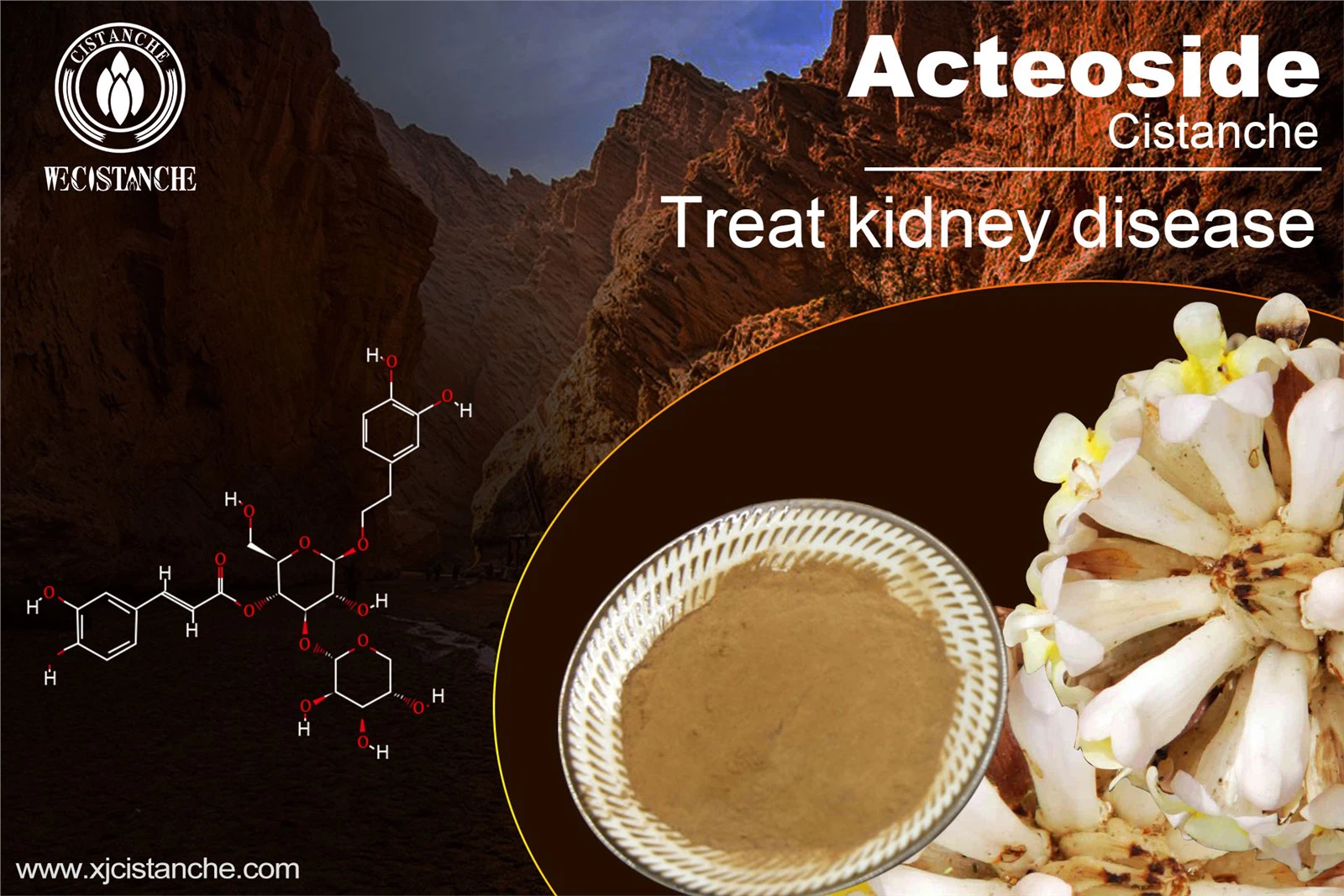 natural herb for kidney disease