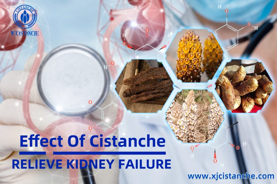 relieve kidney failure relieve kidney failure