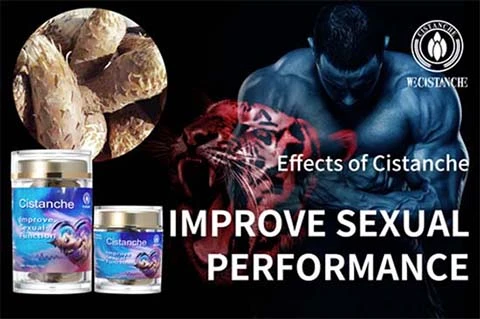 Cistanche tubulosa for sexual function Cistanche tubulosa for sexual function