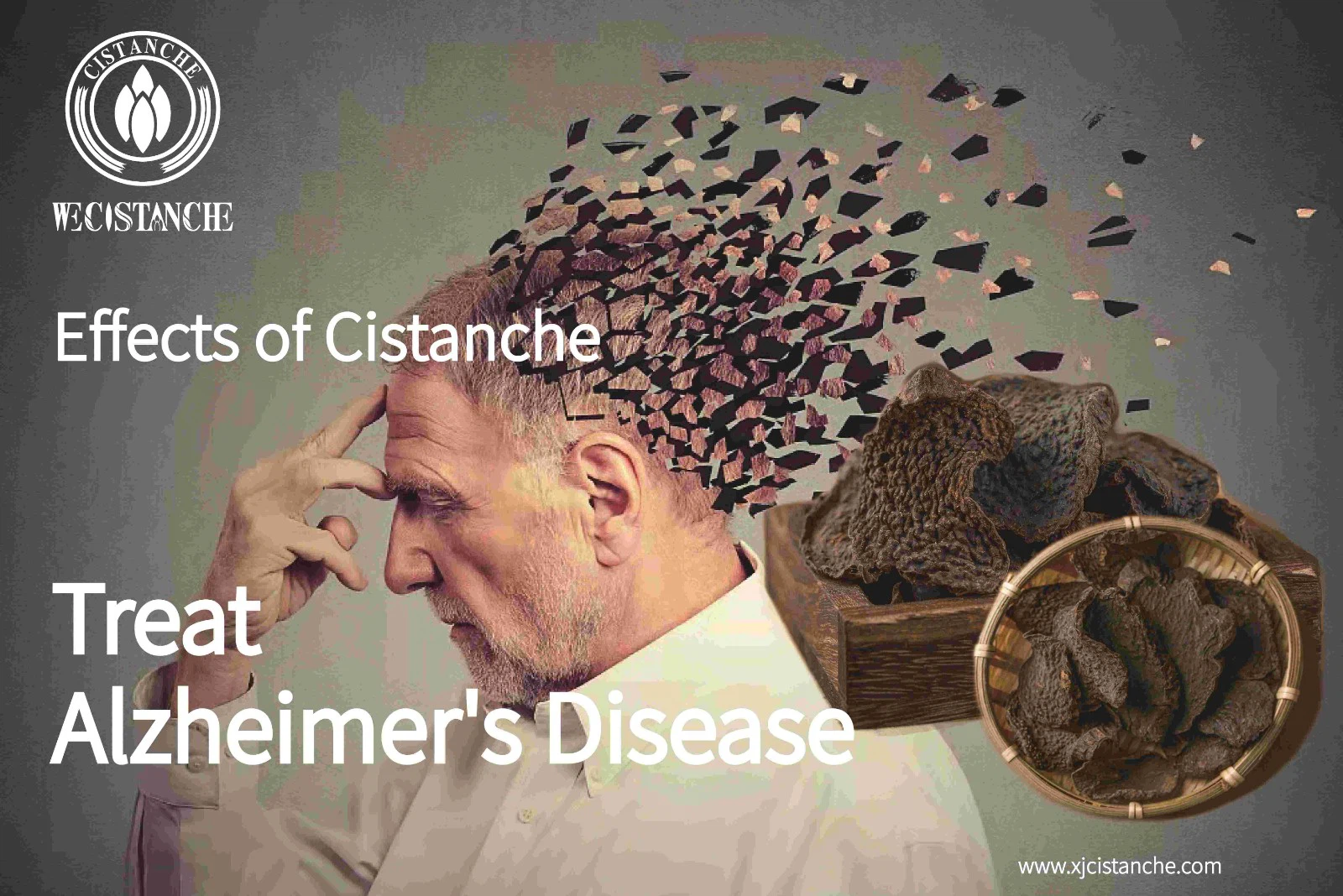treat alzheimer's disease treat alzheimer's disease