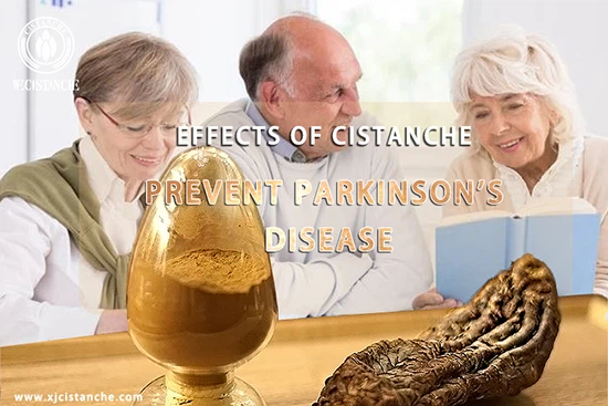 Cistanche deserticola—Anti-Parkinson's disease
