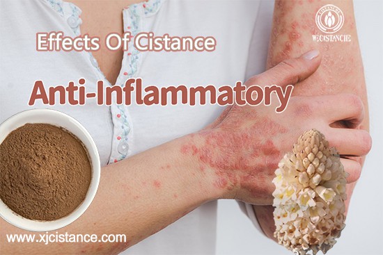 Cistanche deserticola-Anti-inflammatory