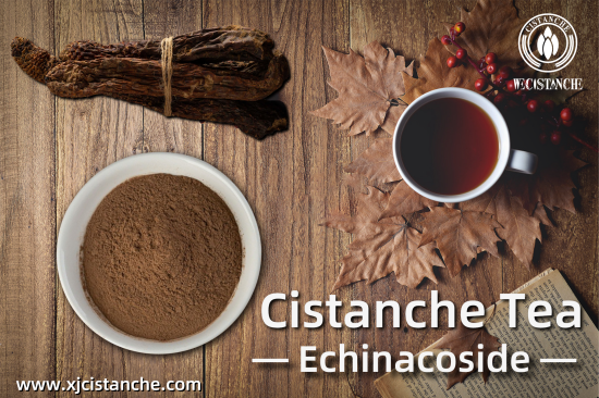 cistanche kidney damage