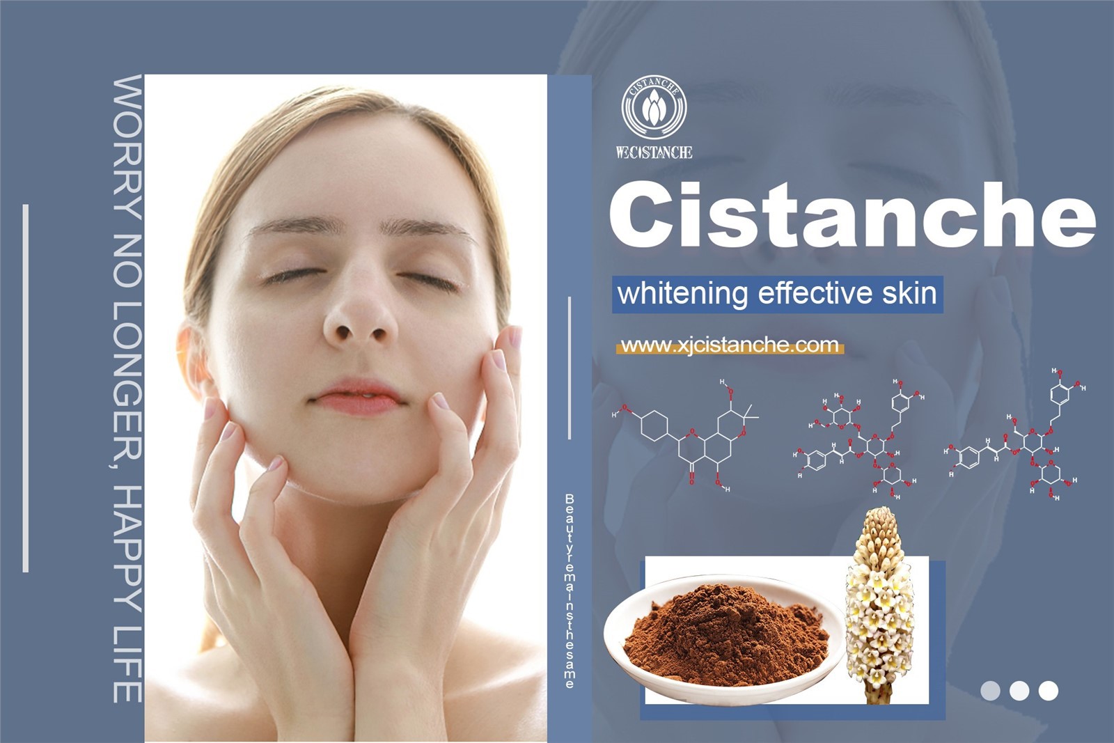 cistanche tubulosa extract powder
