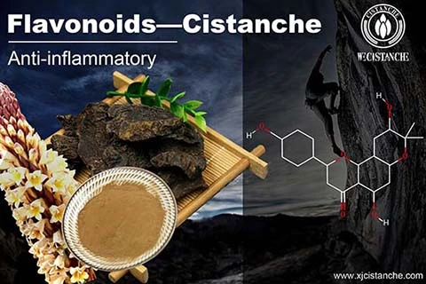 Flavonoid (8) Flavonoid (8)