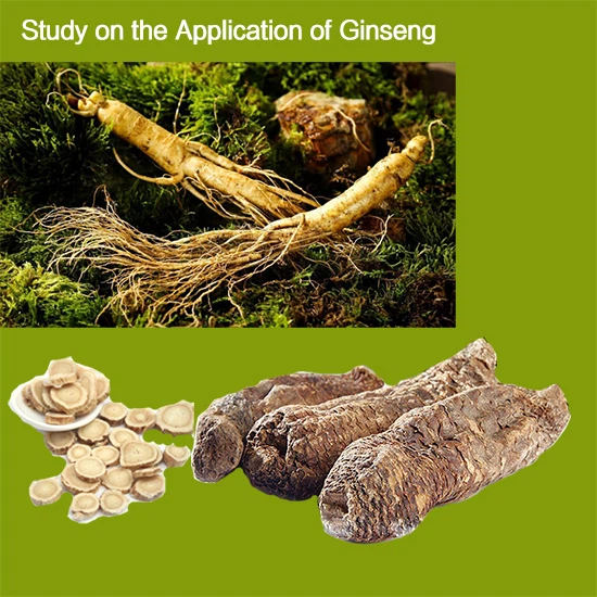 Study on the Application of Ginseng