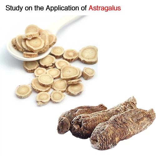 Study on the Application of Astragalus