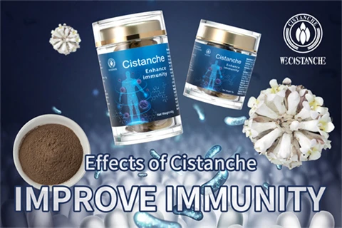 Effects of cistanche improve immunity Effects of cistanche improve immunity