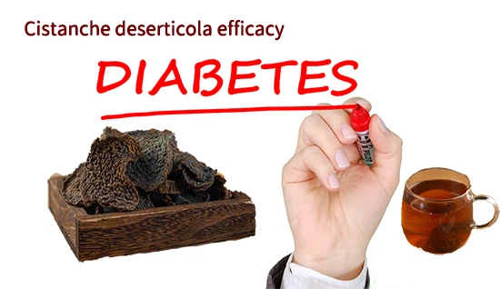 Cistanche deserticola efficacy