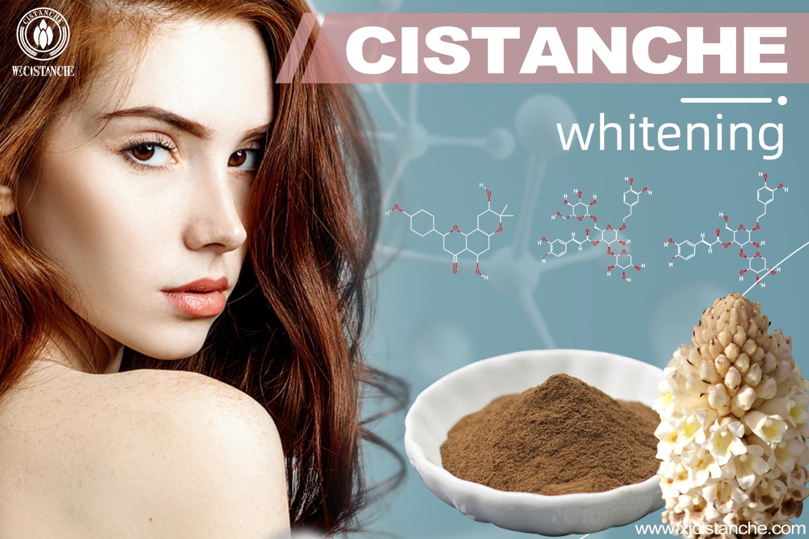 cistanche root supplement
