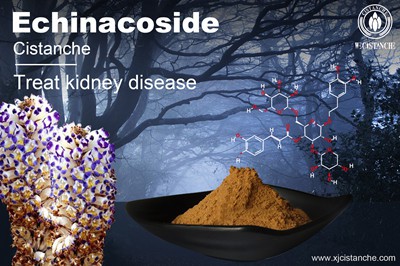 Cistanche benefits Cistanche benefits