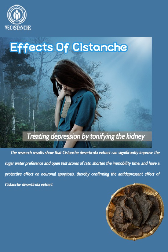 Chinese herb cistanche—Treating depression by tonifying the kidney