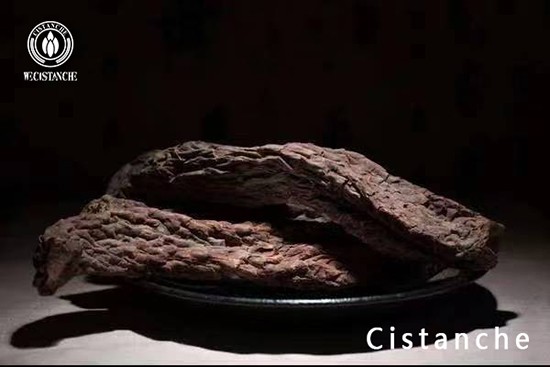 Cistanche deserticola slice (12)