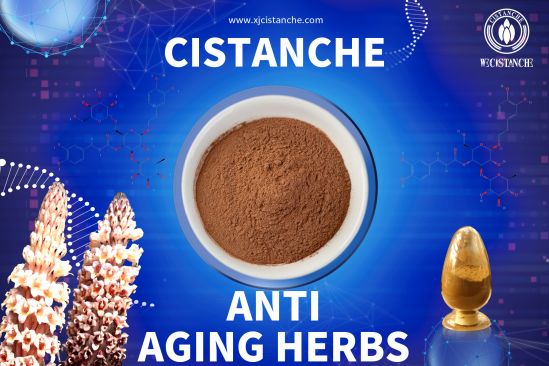 anti-irritant substances cistanche anti-irritant substances cistanche